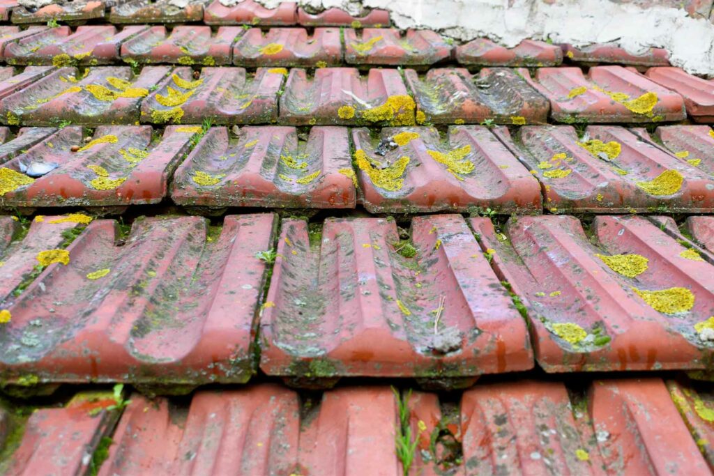 Traitement de toitures dans les Vosges